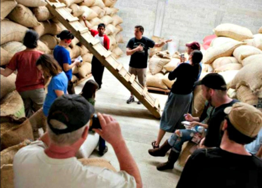 Coffee Trade Creates Sustainable Partnerships