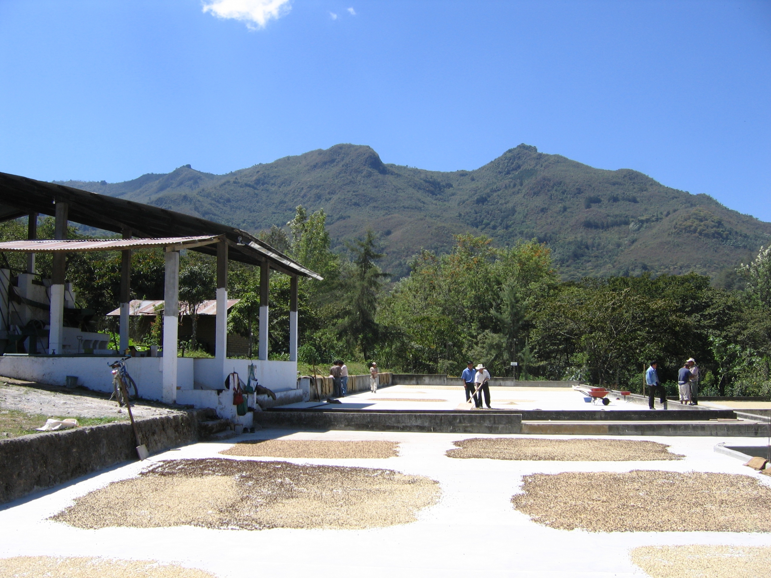 Coffee dying beds at Fondo Paez in Colombia.