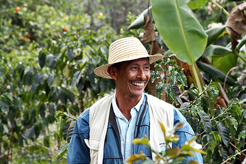 Organic Colombian coffee producer