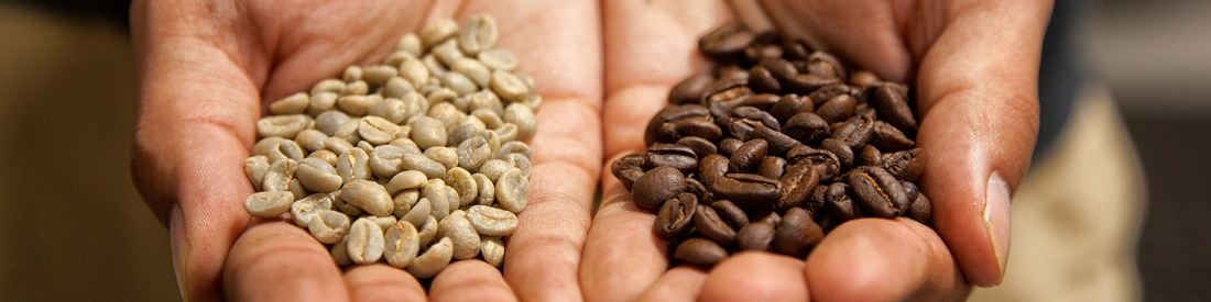 Wholesale Coffee Partner Who's Hands-on