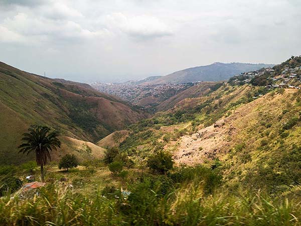 Colombian Coffee Region of the Fondo Paez Cooperative