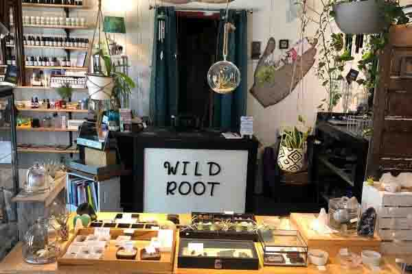 Wild Roots Apothecary and cafe in Florida