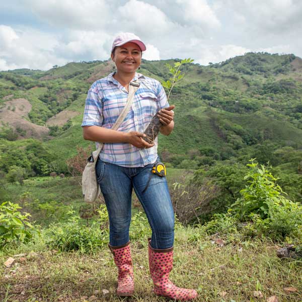 Investing in carbon offset projects supports planting technicians like the woman seen here with the tree she will be planting.