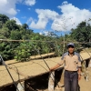 Organic coffee producer stands next to drying tables under the blue sky in Cauca, Colombia.