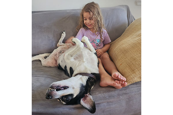 Jennifer and Mischa's daughter, Jolene having fun petting their family dog, Brock's belly as he lays upside down on the couch.